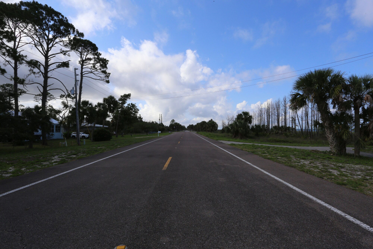 Others 4, Flamingo Dunes, Gulf
