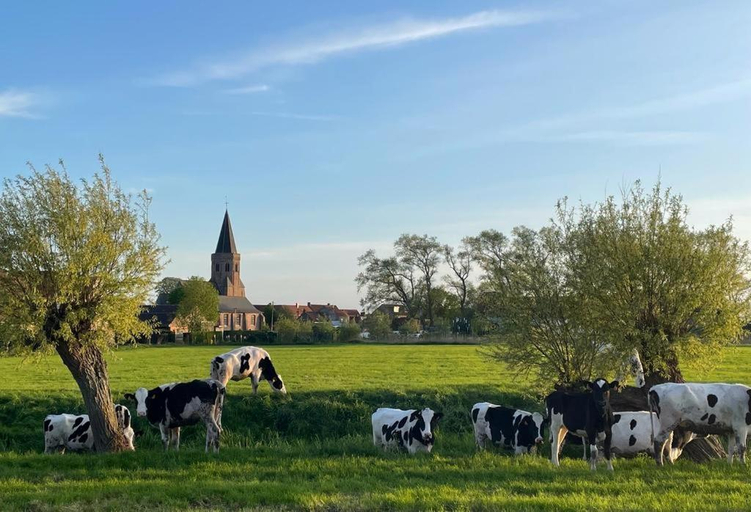 Others 5, Bed and Breakfast Otentik, West-Vlaanderen