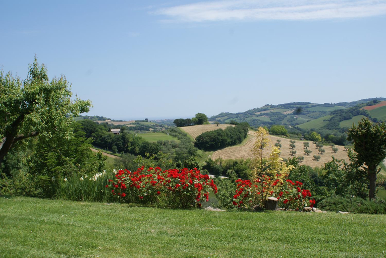 Others 4, B&B Salvarosa, Pesaro E Urbino