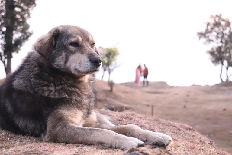 Others 3, george evevest peak, Dehradun