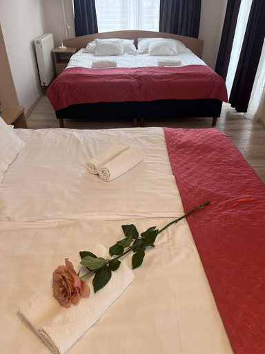 Bedroom 2, Hotel Rose City, Budapesti