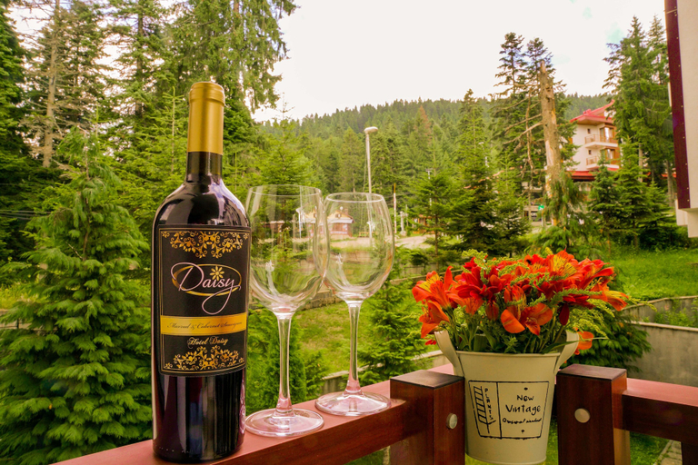 Food & Drinks 4, Flora Residence Daisy, Samokov