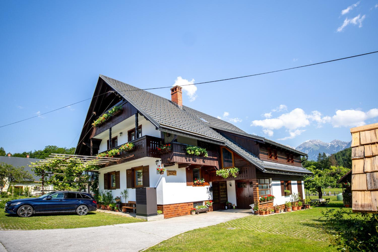 Others 4, Apartmaji Prezelj, Bohinj