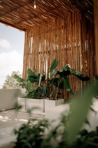 Garden 5, BT Seaside Cottages, Magharibi