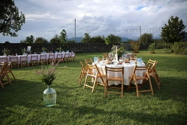 Food & Drinks 4, Chubini winery & cabins, Kvareli