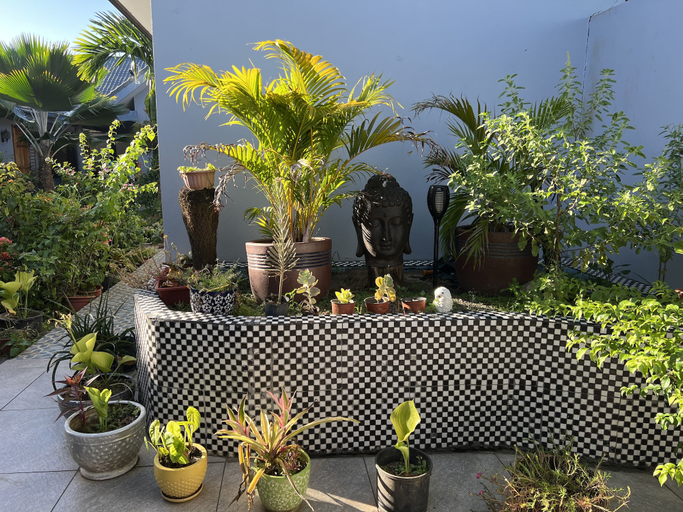 Others 5, Pasifika Guesthouse, Ba