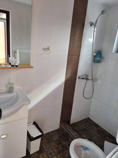 Bathroom 2, Casa Morarului, Busteni