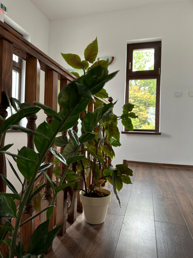 Public Area 2, Pensiunea Emelys, Barnova
