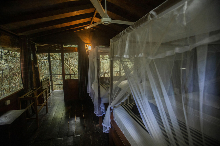 Room 3, Inn On The Tree Eco Resort Sigiriya, Dambulla
