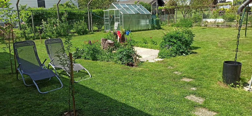 Surrounding environment, Hamster, Slovenska Bistrica