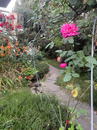 Others 5, B&B Villa Giardini Susanna, Novara