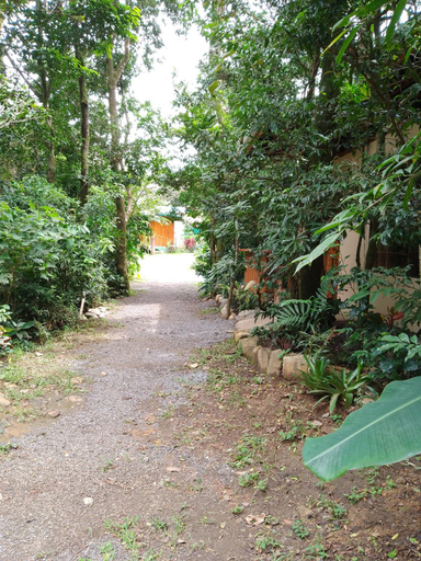 Others 5, Casitas del Bosque Monteverde., Puntarenas