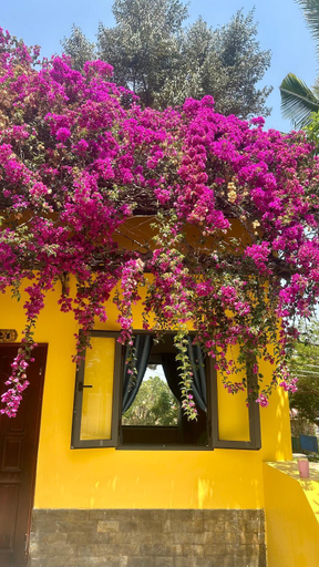 Others 3, Bao Dien Guesthouse, Bảo Lâm