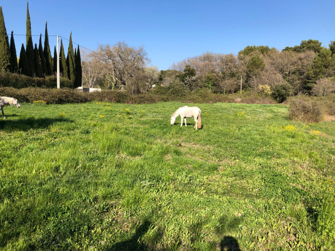 Others 4, Chambre hotes Les Garrigues CUCURON, Vaucluse