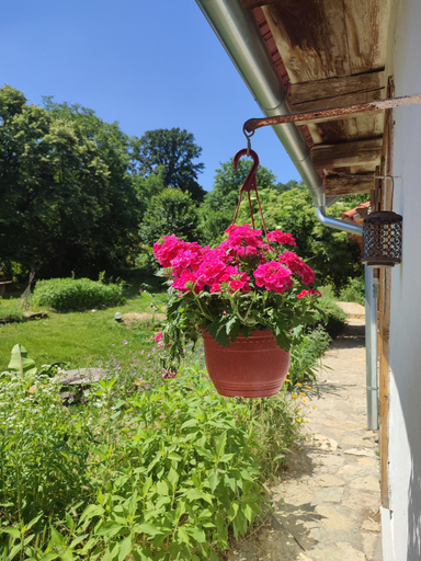 Others 4, Balkan Retreat, Sremska Mitrovica
