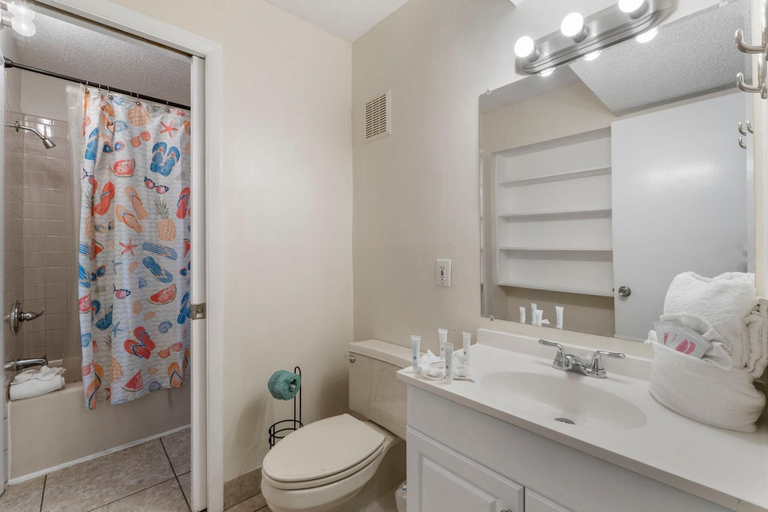 Bathroom, The Summit 321, Bay