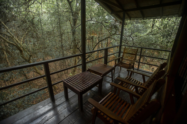 Room 5, Inn On The Tree Eco Resort Sigiriya, Dambulla