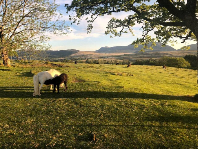 Others 5, Brenin 3 Bedroom rural wood Lodge, Gwynedd