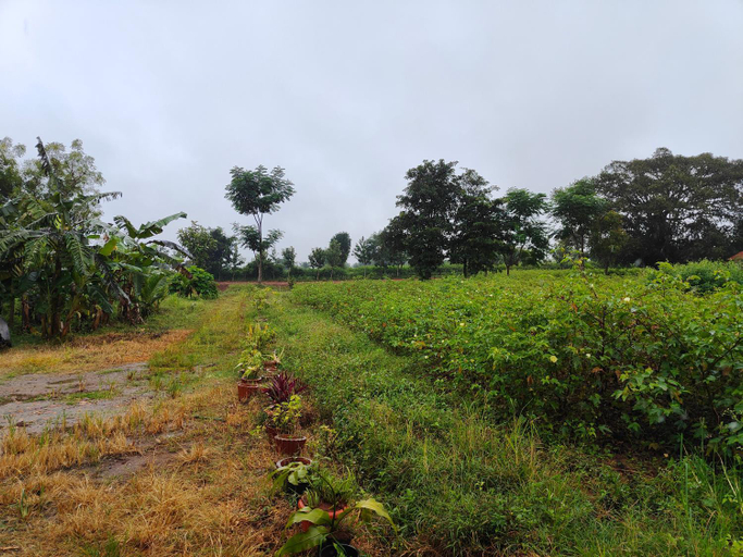 Others 5, Suvarna Farm Stay, Mysore
