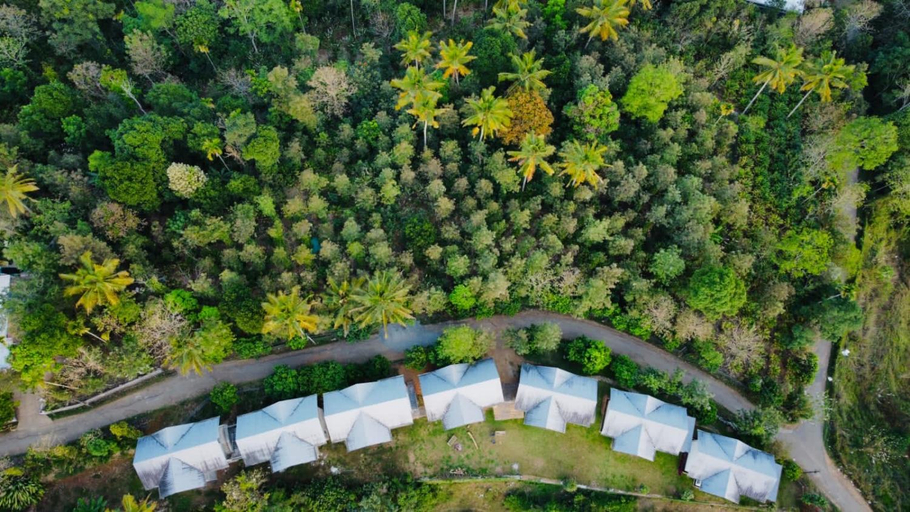 Others 4, MannoorFarms: mountain view rooms, Idukki
