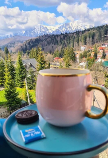 Food & Drinks 5, Hotel Ski & Sky, Predeal