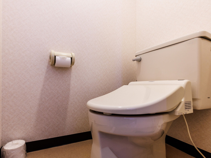 Bathroom 4, Tabist Hotel Nemuro Kaiyoutei, Nemuro