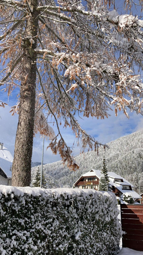 Others 5, Pri Marusi, Kranjska Gora