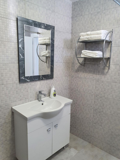 Bathroom 2, Casa Musceleana, Campulung