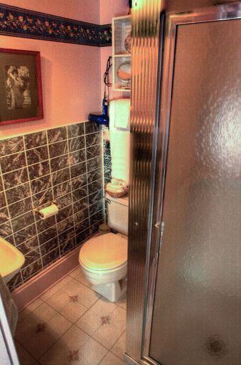 Bathroom, Inn of the Six-Toed Cat, Wayne