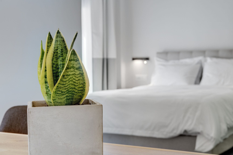 Bedroom 3, Times Elegant Rooms, South Aegean