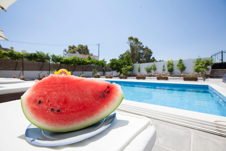 Food & Drinks 5, Villa Nefeli, South Aegean