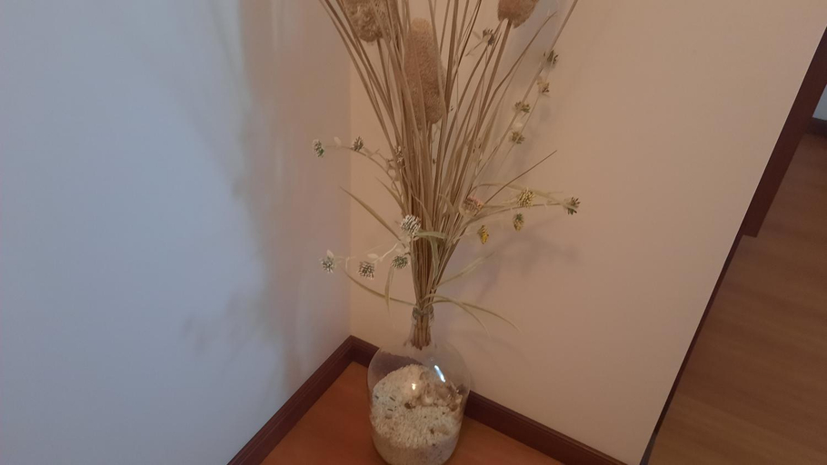 Others 5, Ana Paula House, Aveiro