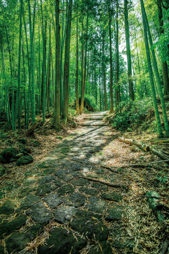 Others 4, Oninosanpomichi, Kumano
