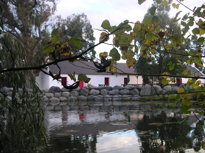 Sport & Beauty, Donegal House, Kaikoura