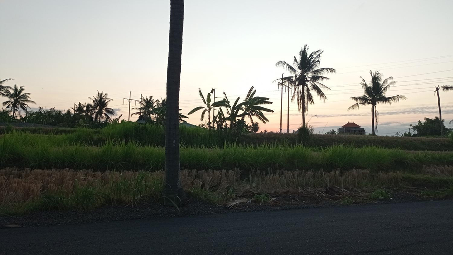 Others 5, Neny's Homestay, Gianyar