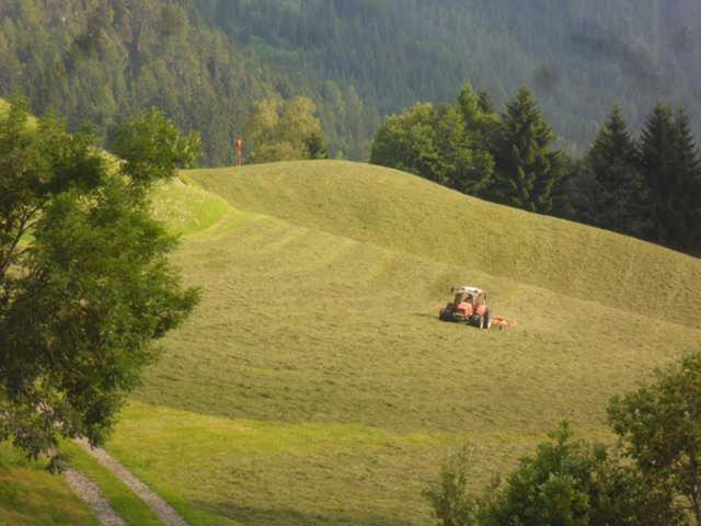 Others 4, Hausbergerhof Gastehaus Ainberger, Kufstein