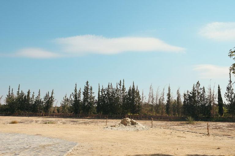 Others 3, Tzila Bahariya, Unorganized in Al Jizah