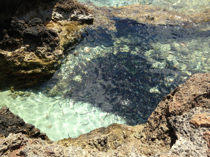 Others 5, Zodiac Apartments, Baleares