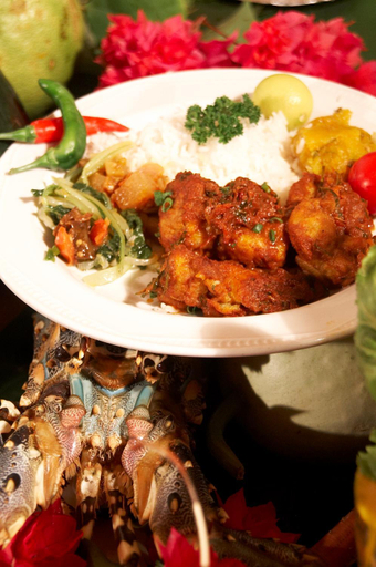 Food & Drinks 4, Le Refuge