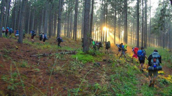 Sports and activities, Pine Forest Cottage, Ehlanzeni