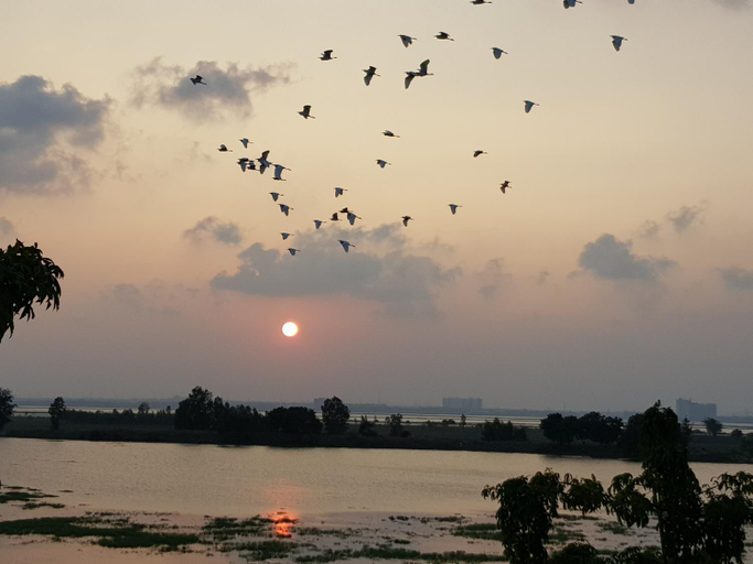 Scenery 3