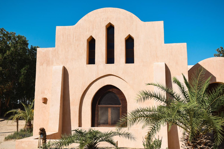Others 5, Tzila Bahariya, Unorganized in Al Jizah