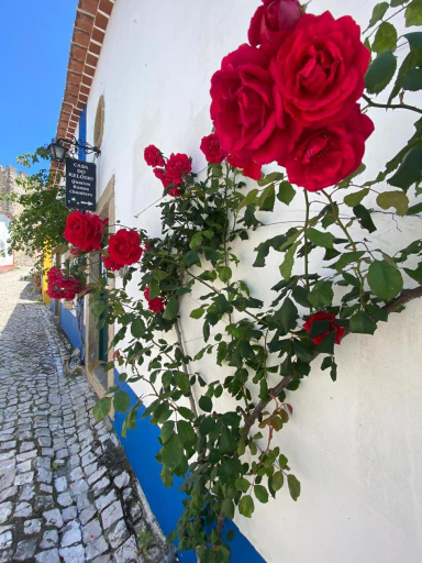 Others 4, Casa Do Relogio, Óbidos