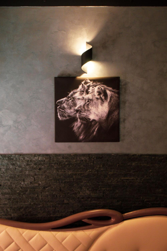 Others 5, Lion Luxury rooms, Rome