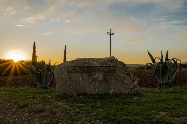 Others 3, Bed and Breakfast La Marianaccia, Grosseto
