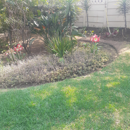 Others 2, Emma's BNB, Ekurhuleni