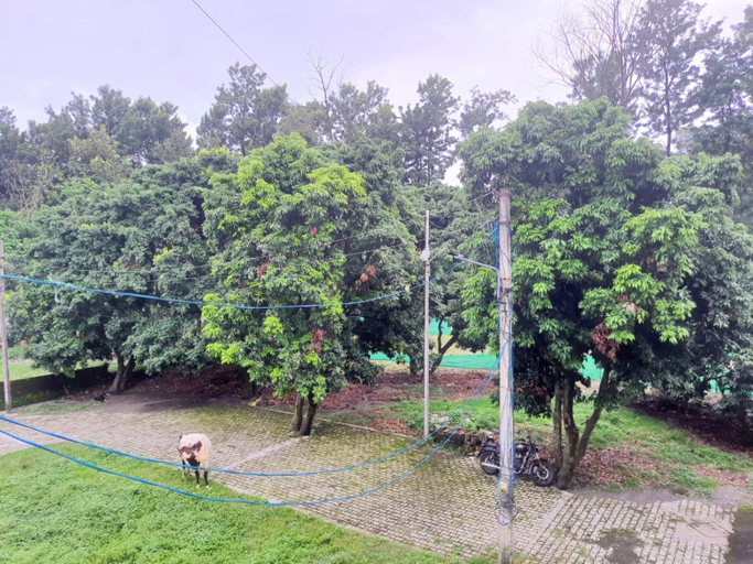 Others 2, Nature View Homestay, Dehradun