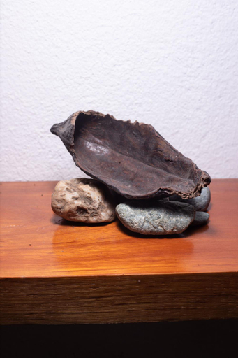 Others 5, El Guayabal de Mindo, San Miguel de los Bancos