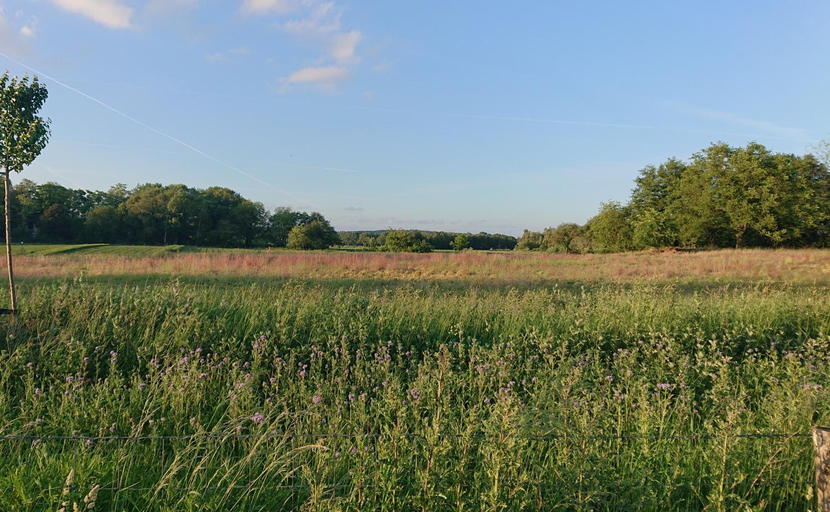 Others 3, De Sprokkel, Gennep