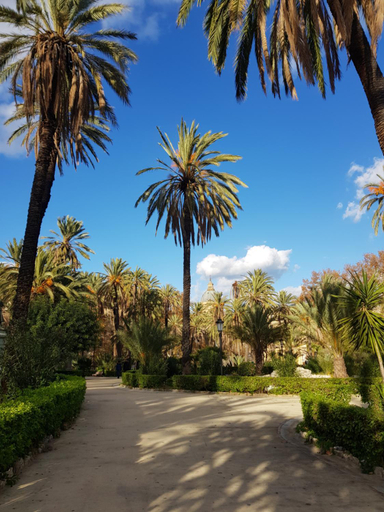 Others 3, Solli Rooms, Palermo